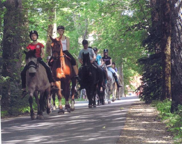 Reiterparadies Sonnenhof- wo (Reiter-)Trume wahr werden